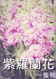 紫罗兰花香